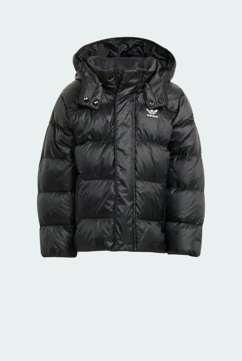 Adidas Adidas, Üst geyimi – 4